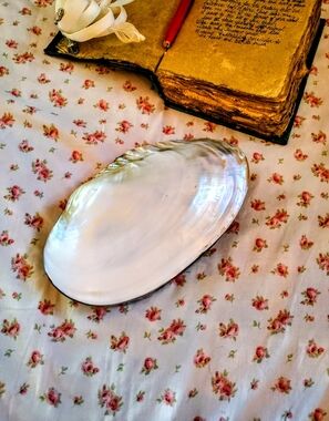 💞 Mother of Pearl mermaid shell box